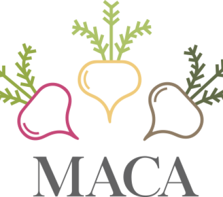 Maca Negra: Contra Infertilidad, Stress y Propiedades